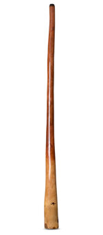 Tristan O'Meara Didgeridoo (TM273)